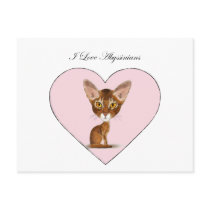 I Love Abyssinians Post Card