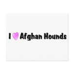 I Love Afghan Hounds postcards