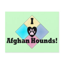 I Love Afghan Hounds Postcard