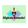 I Love Afghan Hounds Postcard