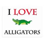 I Love Alligators Postcard