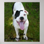 I Love American Bull Dogs Poster
