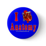 I Love Anatomy (blue) Pinback Button