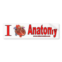 I Love Anatomy Bumper Sticker