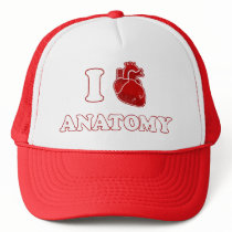 i love anatomy