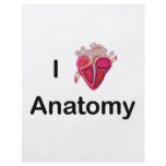 I Love Anatomy with human heart! flyers