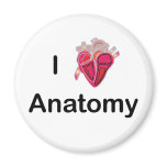 I Love Anatomy with human heart! magnets
