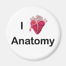 I Love Anatomy with human heart! Magnets