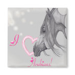 I Love Arabians, Arabian Horse Art Refrigerator Magnets