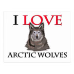 I Love Arctic Wolves Postcard