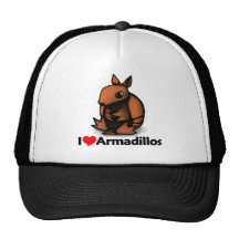 I Love Armadillos Mesh Hats