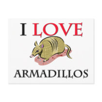 I Love Armadillos Post Cards