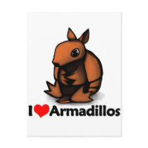 I Love Armadillos