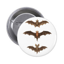 I love bats buttons