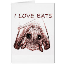 I LOVE BATS CARDS