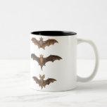 I love bats coffee mug