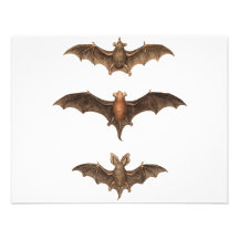I love bats custom invite