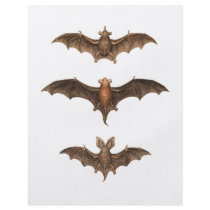 I love bats personalized flyer
