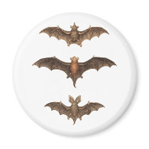 I love bats magnets