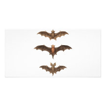 I love bats photo greeting card