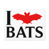 I Love Bats Postcard