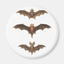I love bats refrigerator magnets
