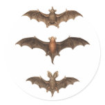 I love bats stickers