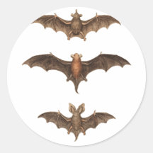 I love bats stickers