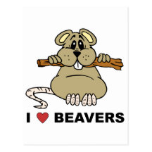 I Love Beavers Postcard