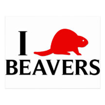 I Love Beavers Postcard