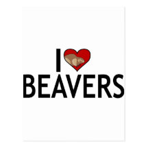 I Love Beavers Postcard