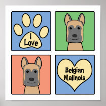 I love Belgian Malinois Posters