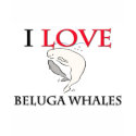 I Love Beluga Whales t-shirts