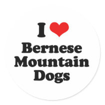I Love Bernese Mountain Dogs