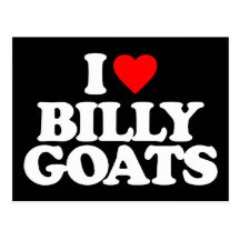 I LOVE BILLY GOATS POSTCARD
