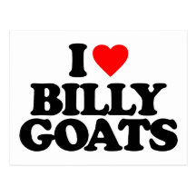 I LOVE BILLY GOATS POSTCARD