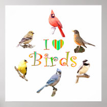 I LOVE BIRDS PRINT