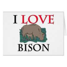 I Love Bison Card