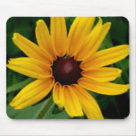 I love Black-Eyed Susans Mouse Pads