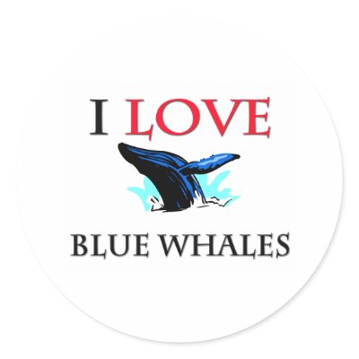 I Love Blue Whales Round Stickers by tshirtshirts