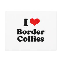 I Love Border Collies