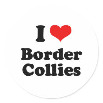 I Love Border Collies