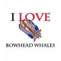 I Love Bowhead Whales t-shirts