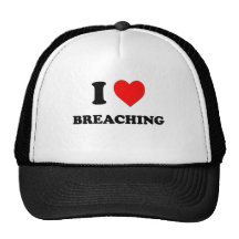 I Love Breaching Hats