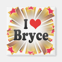 I Love Bryce Magnets