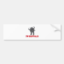 i love buffalo bumper sticker