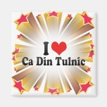 I Love Ca Din Tulnic Magnets
