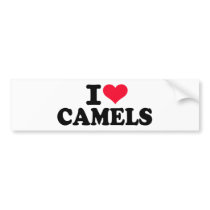 I love camels bumper sticker