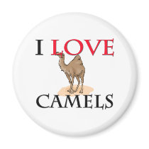 I Love Camels magnets