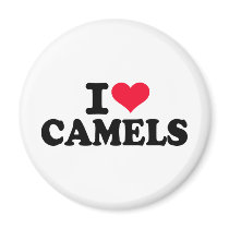 I love camels refrigerator magnet